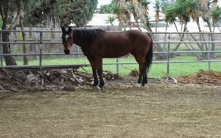 kat562 profile photo