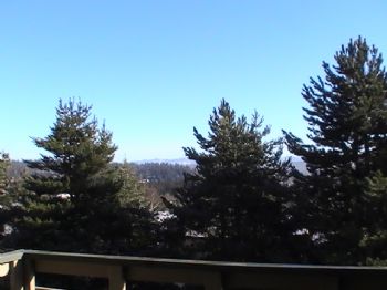 French20009 profile photo