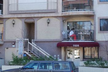 nuts4mymutt profile photo