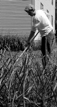 afreelife profile photo