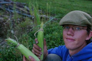 afreelife profile photo