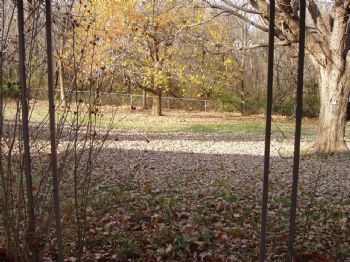 meganc831981 profile photo