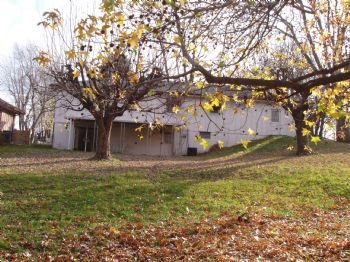 meganc831981 profile photo