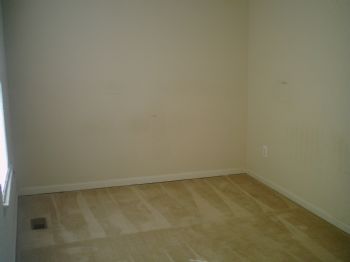 schnapps914 profile photo