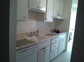 sumaira profile photo