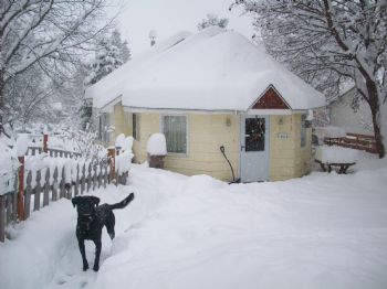 roxybender profile photo