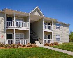 missdukes33 profile photo