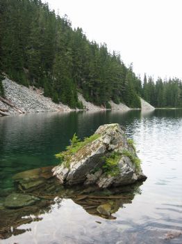 pedroracer profile photo