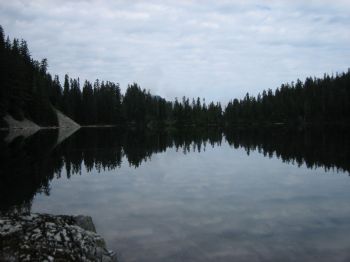 pedroracer profile photo