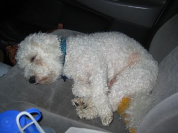 amandasue112 profile photo