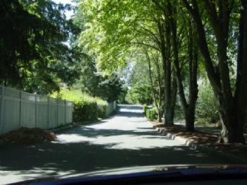 lenskiy profile photo