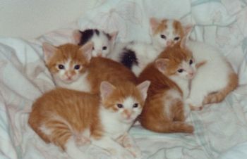 Erinkp profile photo