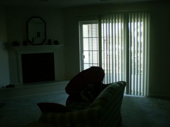 mjdeva profile photo