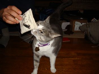 sammy2242 profile photo