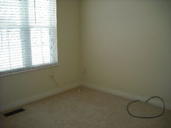 ttriplett profile photo