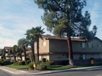 kingkazpur profile photo