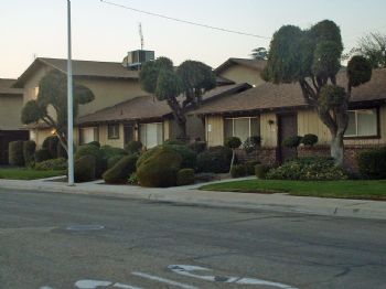 kingkazpur profile photo