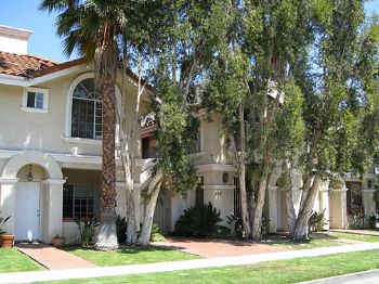 BadAndy77 profile photo