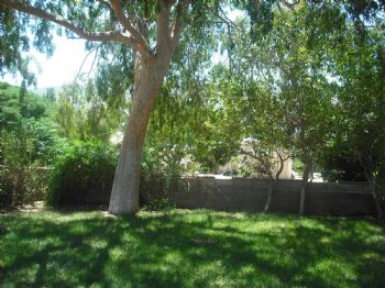 dannibambi profile photo