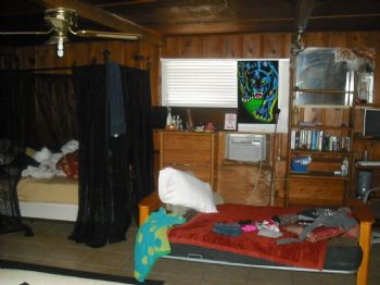 dannibambi profile photo