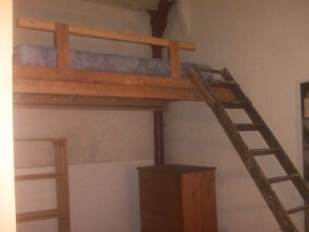 gibonius profile photo