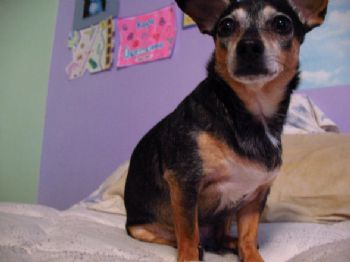 kaylabee profile photo