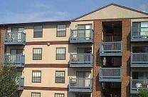 bobless007 profile photo