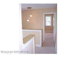 apricklypear profile photo