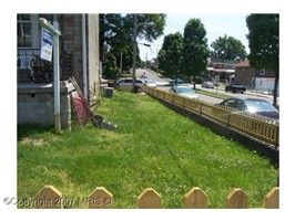 apricklypear profile photo