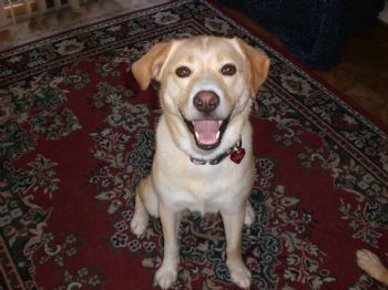 LaceyBug10 profile photo