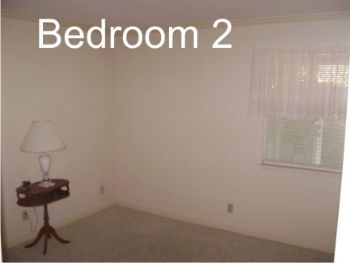 ccsoftball profile photo