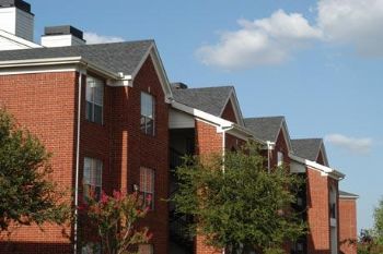 Steve_Bella profile photo