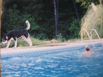 nanscamp profile photo