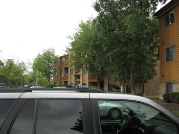 HeatherJenae profile photo