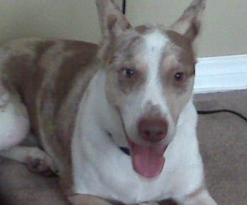 Penguin08 profile photo