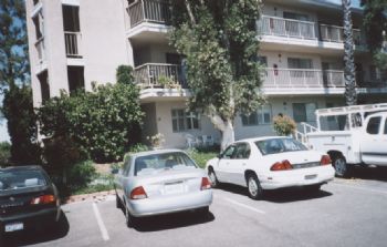 kestly profile photo