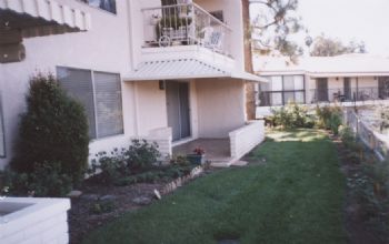 kestly profile photo