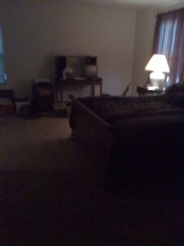 jays62 profile photo