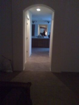 jays62 profile photo