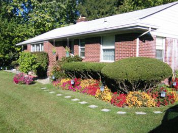 artimus profile photo