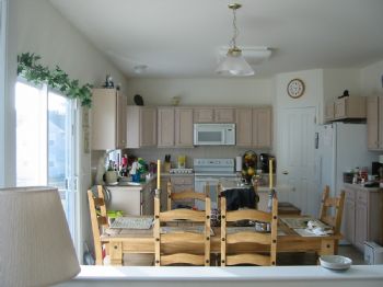 leka1231 profile photo