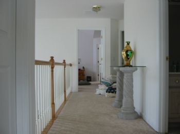 leka1231 profile photo