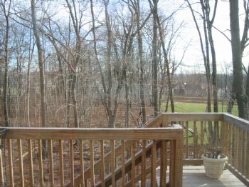 leka1231 profile photo