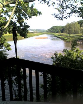 wayward16 profile photo