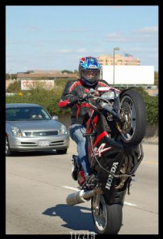 bobman1000rr profile photo