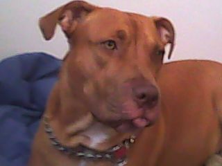 valentine77 profile photo