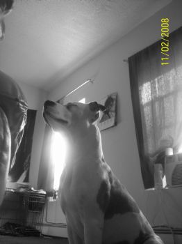 rulookinatme profile photo