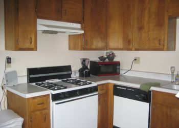 lily21 profile photo