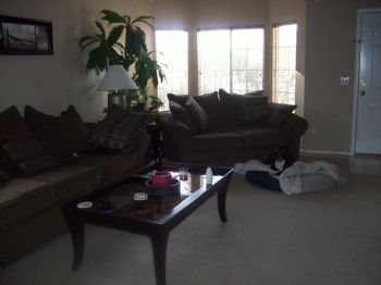 tmecca profile photo