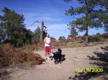 nitropower46 profile photo